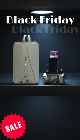 Senzori de gaz, fum si monoxid de carbon - Detector de gaz si monoxid de carbon FRAMMINO®, plus electrovalva 3/4 inches DN20