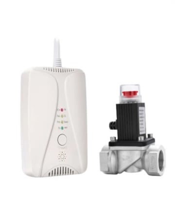 Senzori smart - Detector de gaz si monoxid de carbon FRAMMINO®, plus electrovalva 3/4 inches DN20