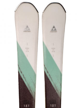 SCHIURI sh ADULTI - SCHI sh FISCHER KOA