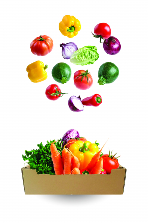 LĂDIȚA FRESH - ladita FRESH