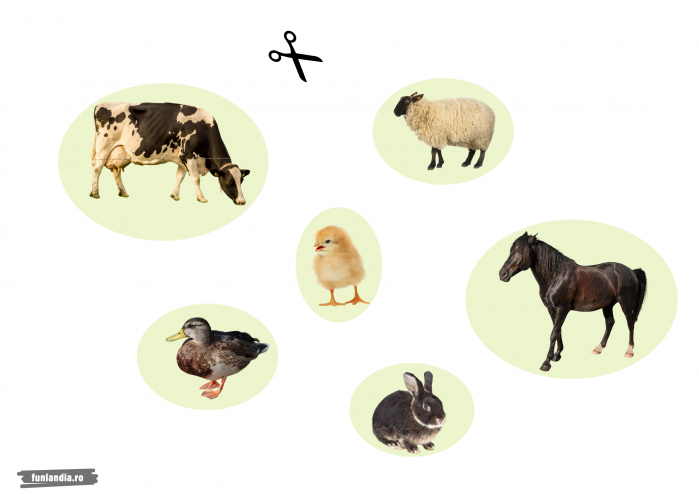 Fise gratuite - Decupeza & Lipeste Animale [4]