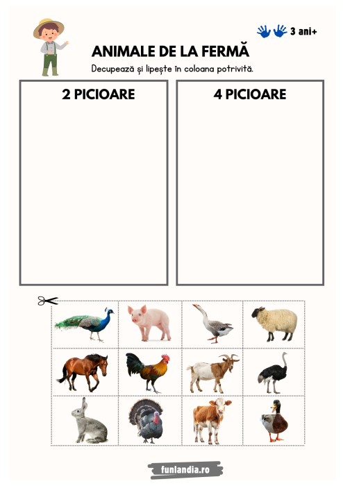 Fise - Sortare si Clasificare [4]