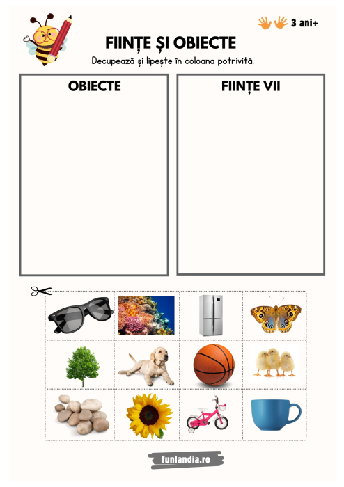 Fise - Sortare si Clasificare [5]