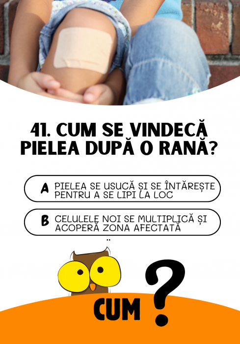 Săculețul cu jocuri - CINE? CE? CUM? | joc de cultură generală, 7 ani+ [5]