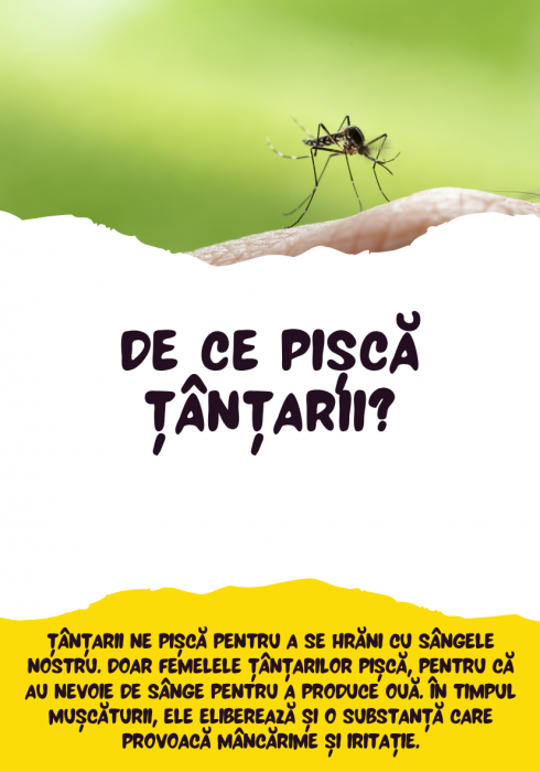 Săculețul cu jocuri - DE CE? [7]