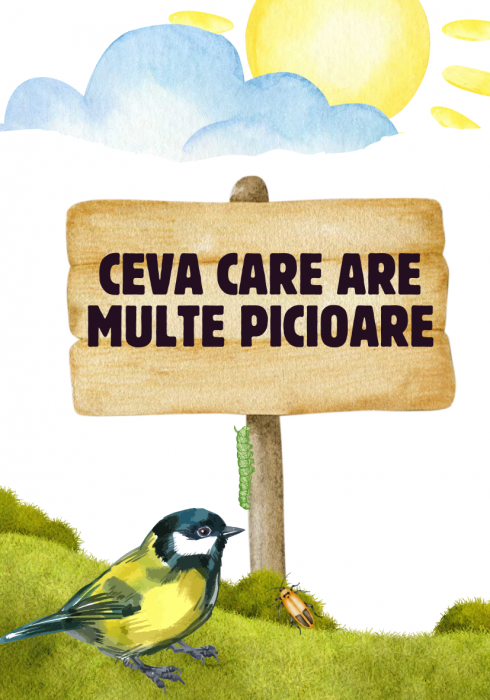 Săculețul cu jocuri - Găsește  sau Numește, set de carti distractiv, 4ani+ [5]