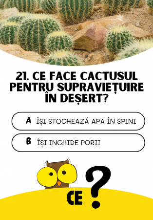 Săculețul cu jocuri - CINE? CE? CUM? | joc de cultură generală, 7 ani+ [3]