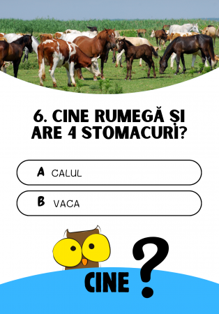 Săculețul cu jocuri - CINE? CE? CUM? | joc de cultură generală, 7 ani+ [2]