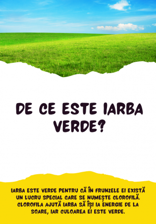 Săculețul cu jocuri - DE CE? [5]