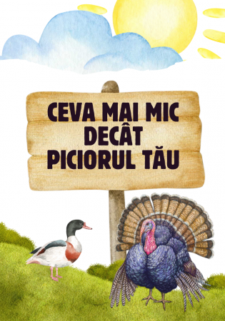 Săculețul cu jocuri - Găsește  sau Numește, set de carti distractiv, 4ani+ [5]