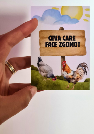Săculețul cu jocuri - Găsește  sau Numește, set de carti distractiv, 4ani+ [3]