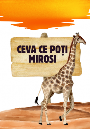 Săculețul cu jocuri - Găsește  sau Numește, set de carti distractiv, 4ani+ [7]