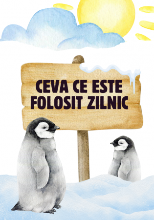Săculețul cu jocuri - Găsește  sau Numește, set de carti distractiv, 4ani+ [8]
