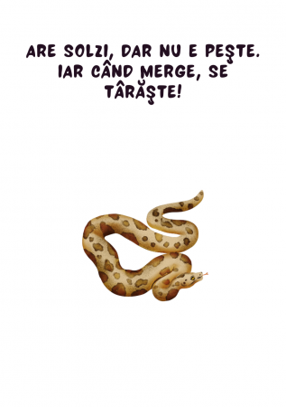 Săculețul cu jocuri - GHICITORI [7]