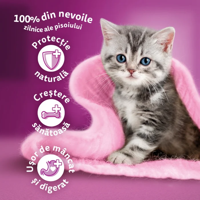Hrana Uscata Pisici WHISKAS Kitten Pui 14kg [4]