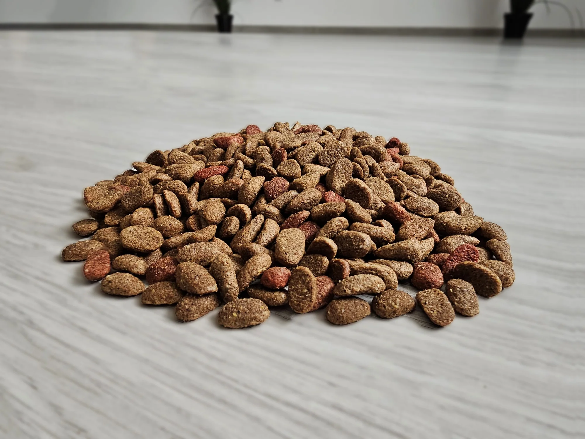 MIKAN Hrană completă pentru pisici adulte cu pui 10 Kg [2]