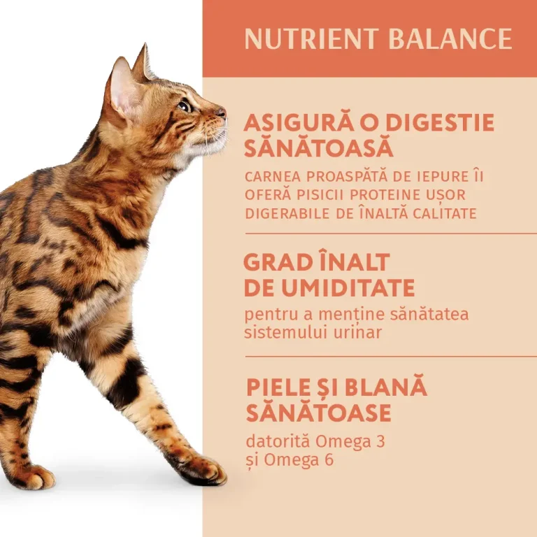 OPTIMEAL CAT PLIC CU IEPURE ÎN SOS ALB 85g [5]