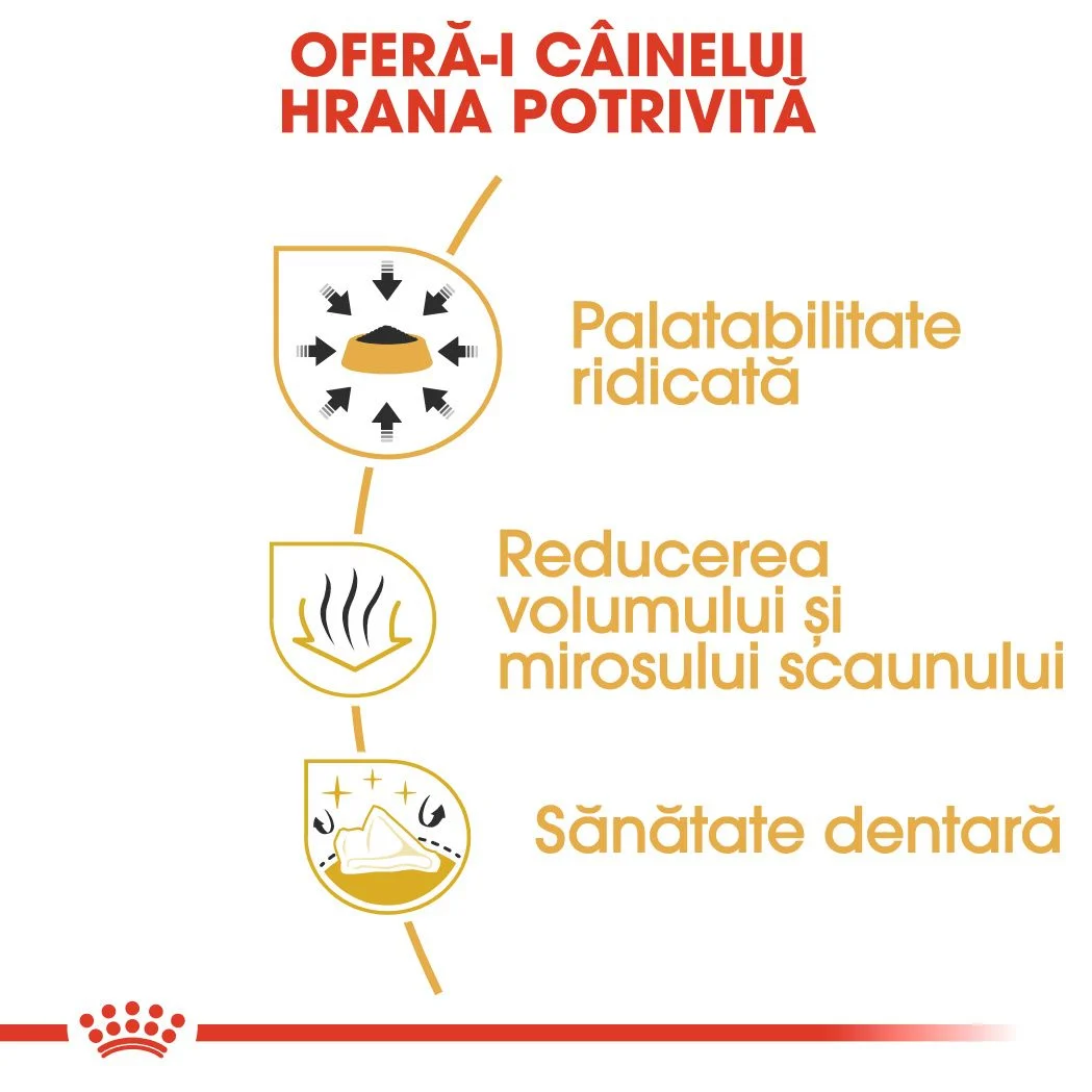 ROYAL CANIN Chihuahua Adult, hrană uscată câine, 1,5kg [5]