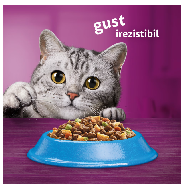 Hrana uscata pentru pisici Whiskas, Pui, 14Kg [2]