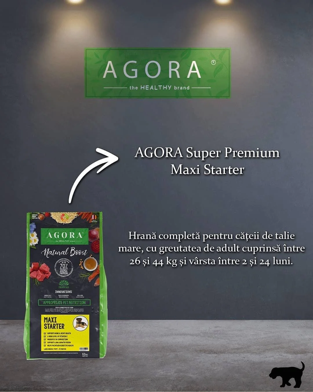 AGORA Maxi Starter [2]