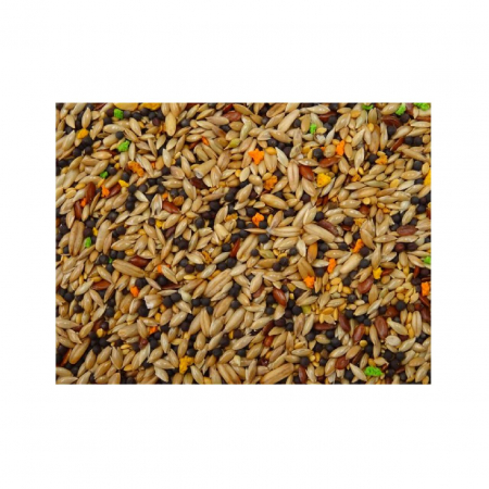 HRANA COMPLETA OLA PENTRU CANARI 800G [1]