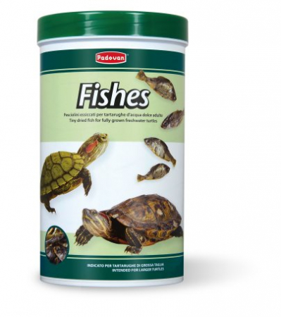 Reptile - Hrana pentru broaste testoase Padovan Fishes 160g
