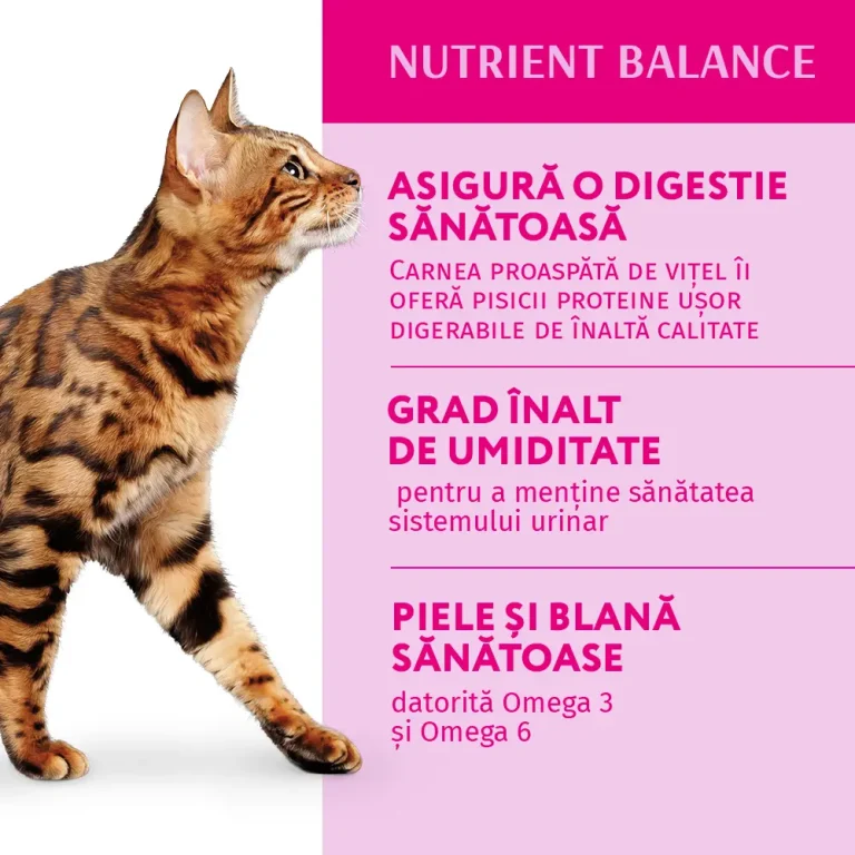 OPTIMEAL CAT PLIC CU MIEL 85g [4]