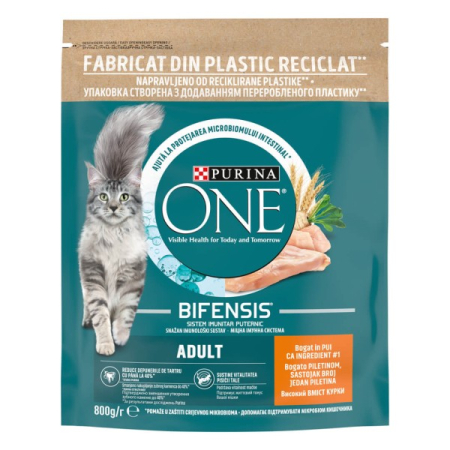 Pisici - PURINA ONE ADULT, Pui si Cereale Integrale, hrana uscata pentru pisici, 800 g