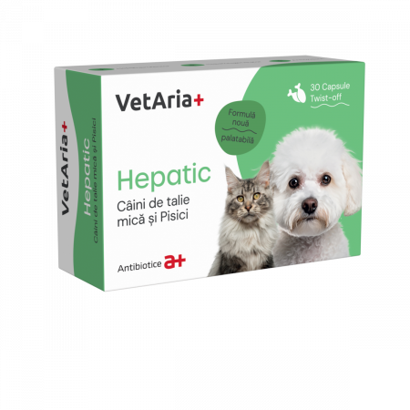 Vitamine & Suplimente - VetAria, Supliment hepatic pentru caini de talie mica si pisici, 30 capsule, twist off