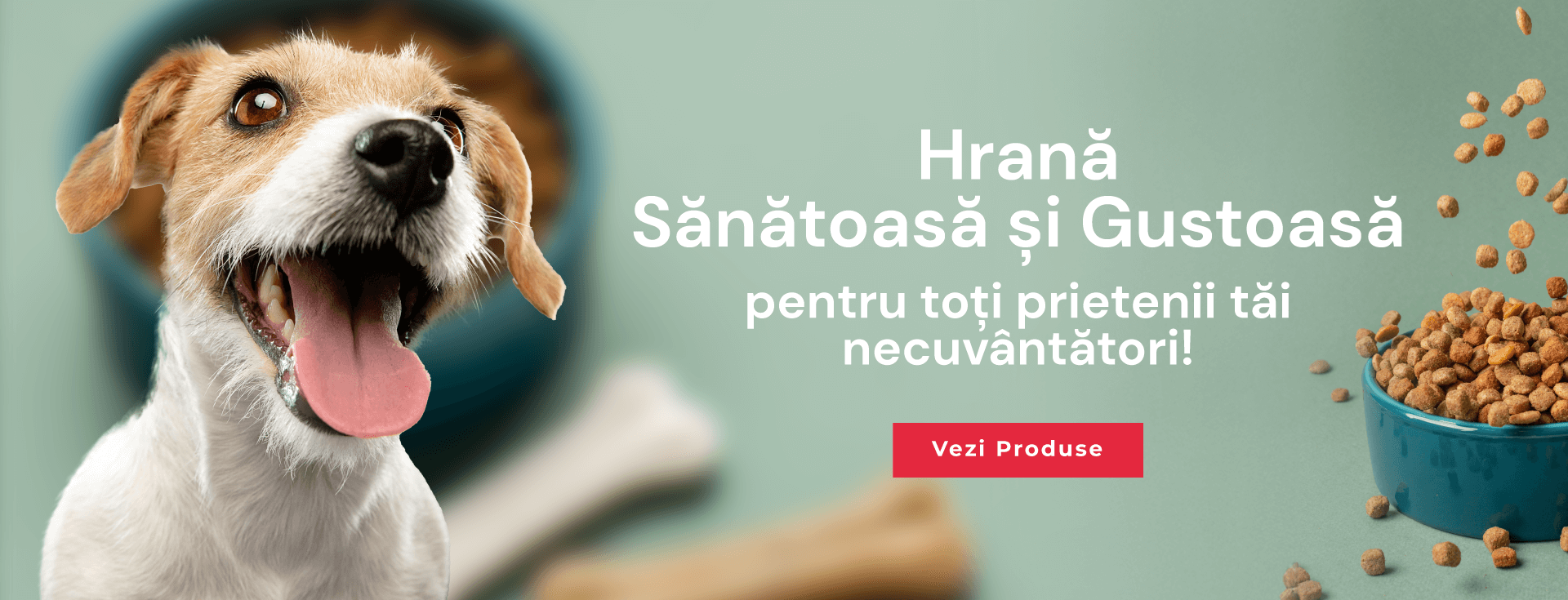Hrana pentru toti prietenii tai