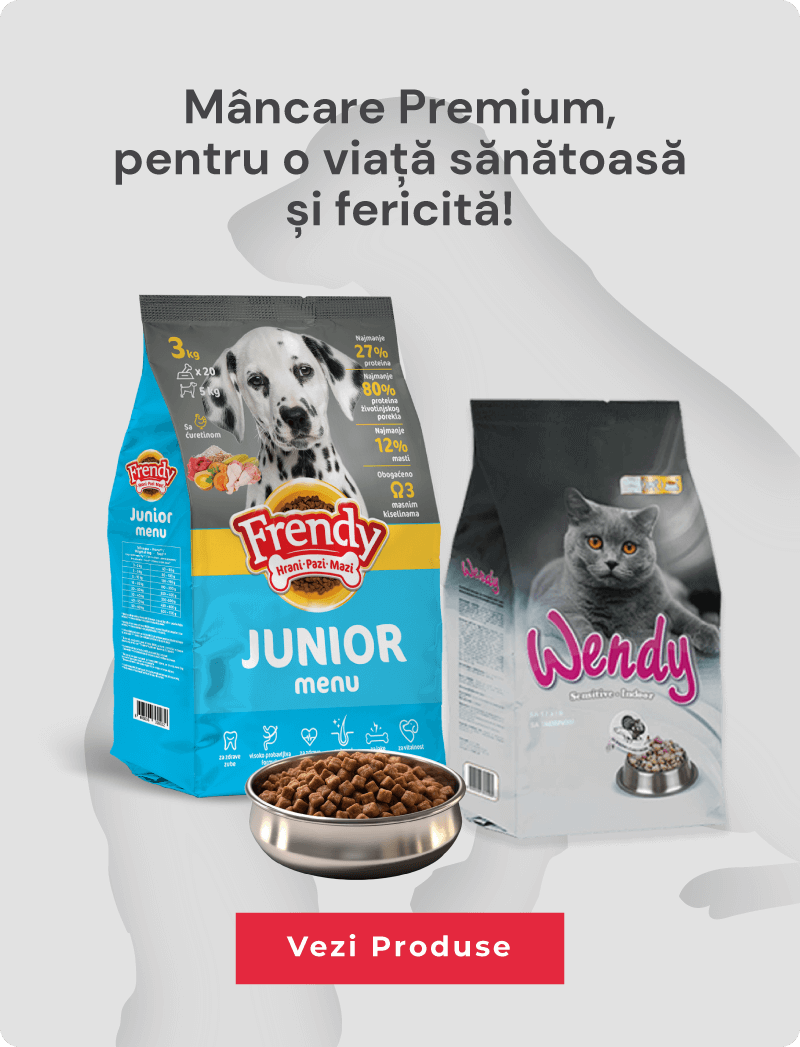 Hrana Caini si Pisici