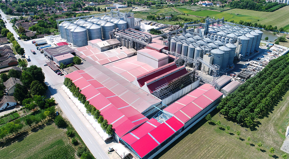 Hrănirea animalelor de companie în cel mai bun mod