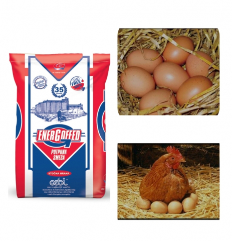 HRANA GAINI - 3 x Furaj pentru gaini ouatoare, Amestec complet Energonos Gold I-16.5% proteina, 10 KG GMO free