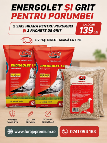 SUPLIMENTE NUTRITIVE PENTRU ANIMALE - Pachet HRANA ENERGOLET 14% si GRIT pentru Porumbei