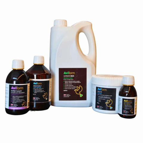 SUPLIMENTE NUTRITIVE PENTRU ANIMALE - Pachet Concurs pentru porumbei – vitamine, minerale și probiotice- Pachet Concurs pentru porumbei – vitamine, minerale și probiotice