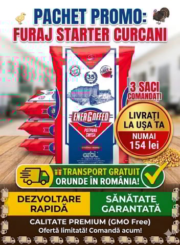 HRANA PASARI DE CURTE - Pachet promo starter Curcani