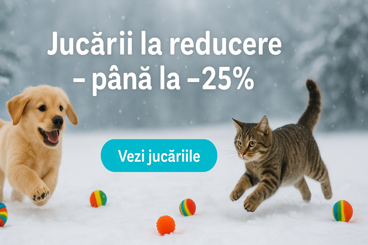 Banner jucarii -winter sale