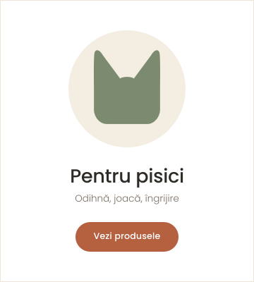 Banner pisici