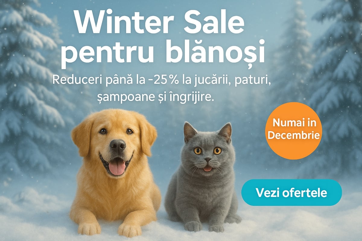 Winter Sale