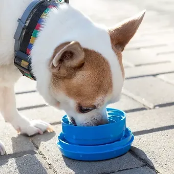 lesa multifunctionala 6 in 1 caine [5]