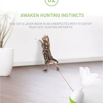 jucarie cu laser pisici [3]