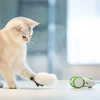 jucarie interactiva pisici [10]