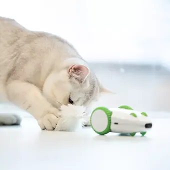 jucarie interactiva pisici [9]