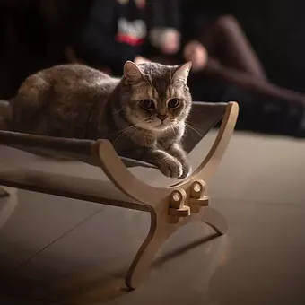 Hamac - pat pentru pisici [2]