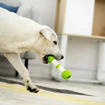 jucarie interactiva caine [6]