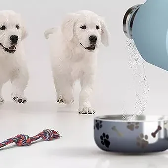 sticla apa caine calatorie [4]