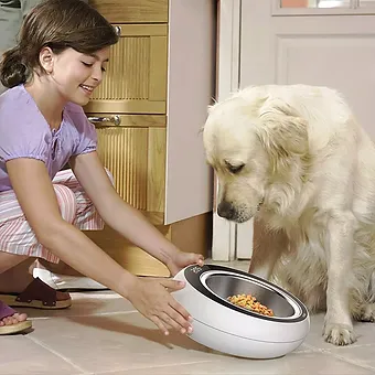 bol anti-varsare pisici [7]