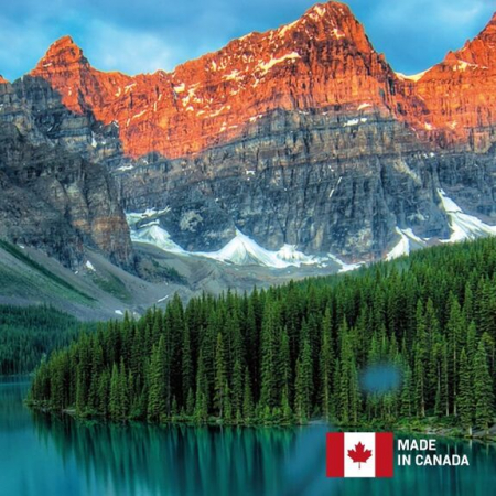 Croci-Supreme-Clean-Eucalipt-10kg-Asternut-Premium-Nisip-Pisici-Ultra-Absorbant-Fara-Praf.jpg [2]