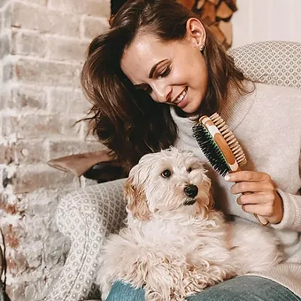 perie caini pisici bambus [1]