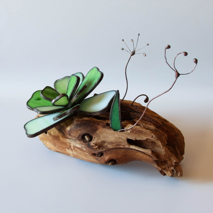 Decor Vitraliu Suculentă pe rădăcină lemn natural 20 cm [6]